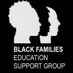 BSS Logo